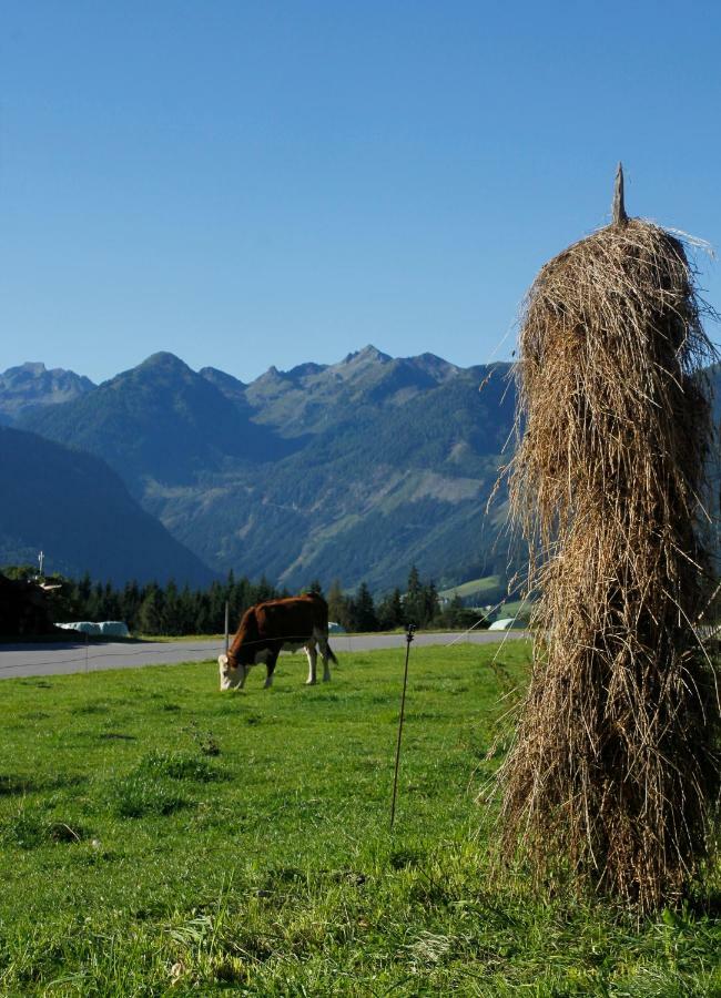 Landl Vorberg Villa Ramsau am Dachstein Eksteriør billede