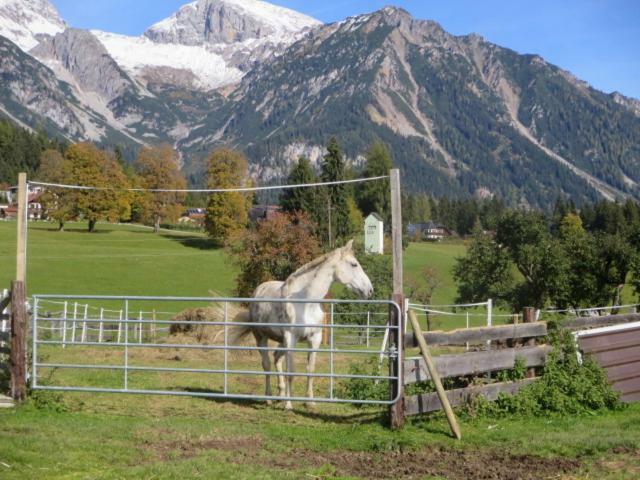 Landl Vorberg Villa Ramsau am Dachstein Eksteriør billede